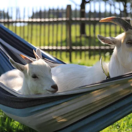 Heissenhof Urlaub Auf Dem Bauernhof *