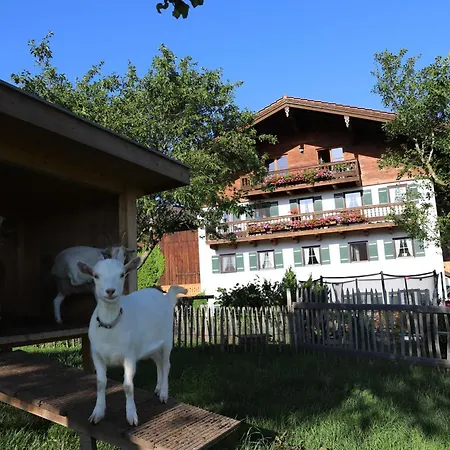 Heissenhof Urlaub Auf Dem Bauernhof